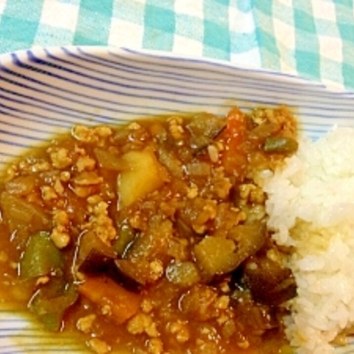 和風カレー  うどんだしとカレーフレークで。